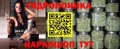 ешки Аргун