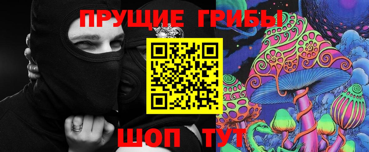 Бор  Псилоцибиновые грибы прущие грибы  Вход с VPN 